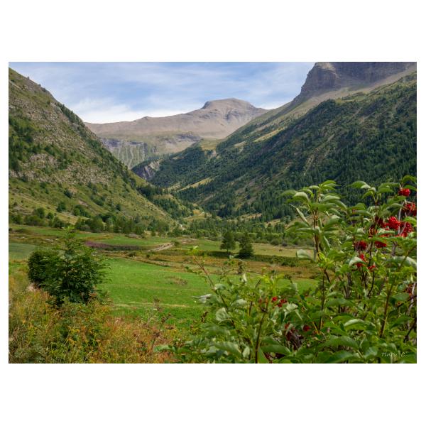 PHOTO84, CLUB, 84 , LUBERON